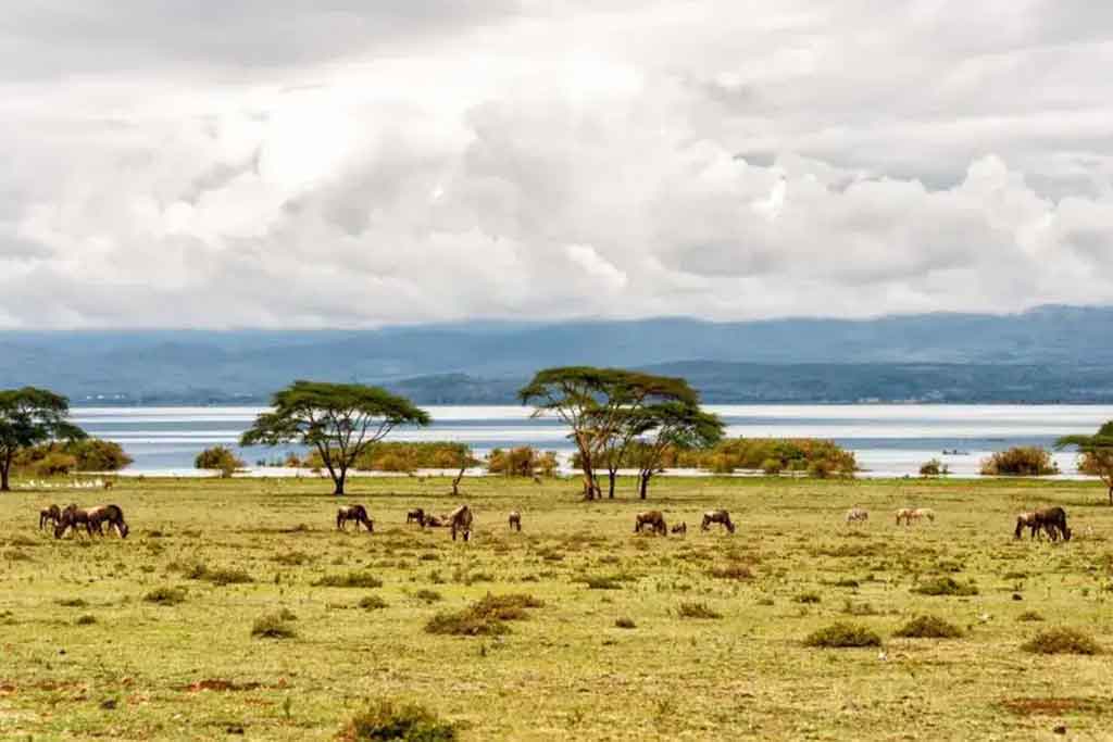 Nairobi private jet charter