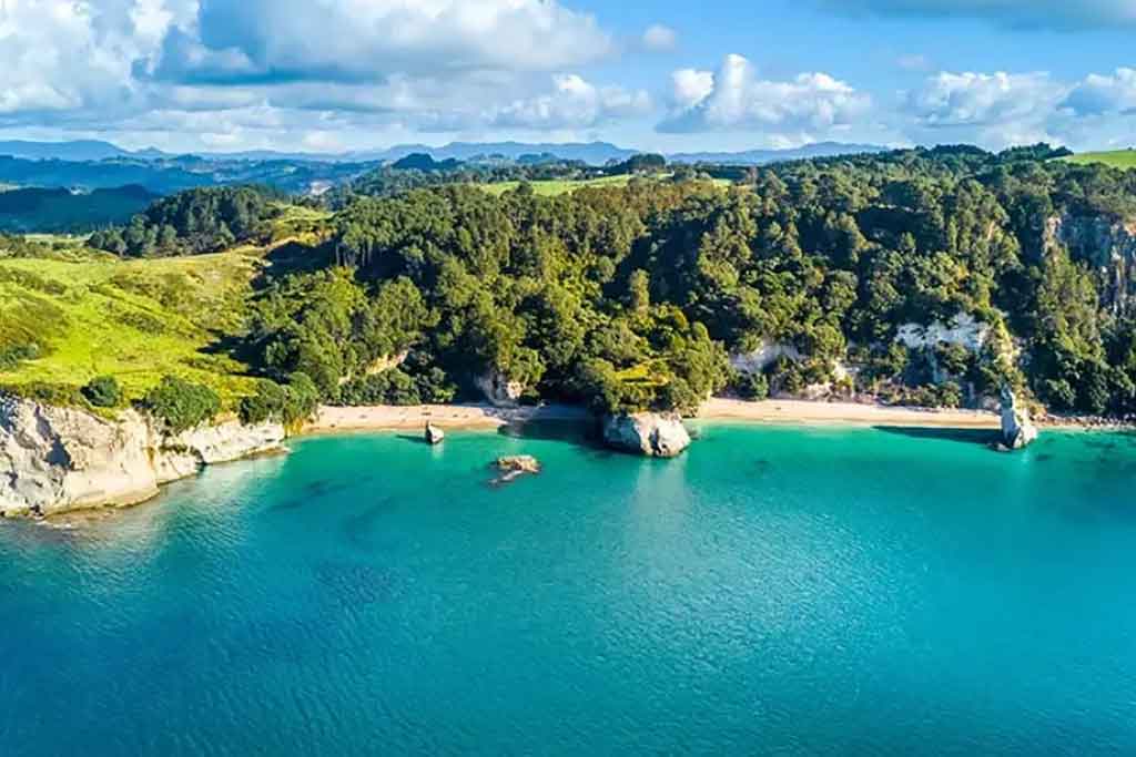 New Zealand private jet charter
