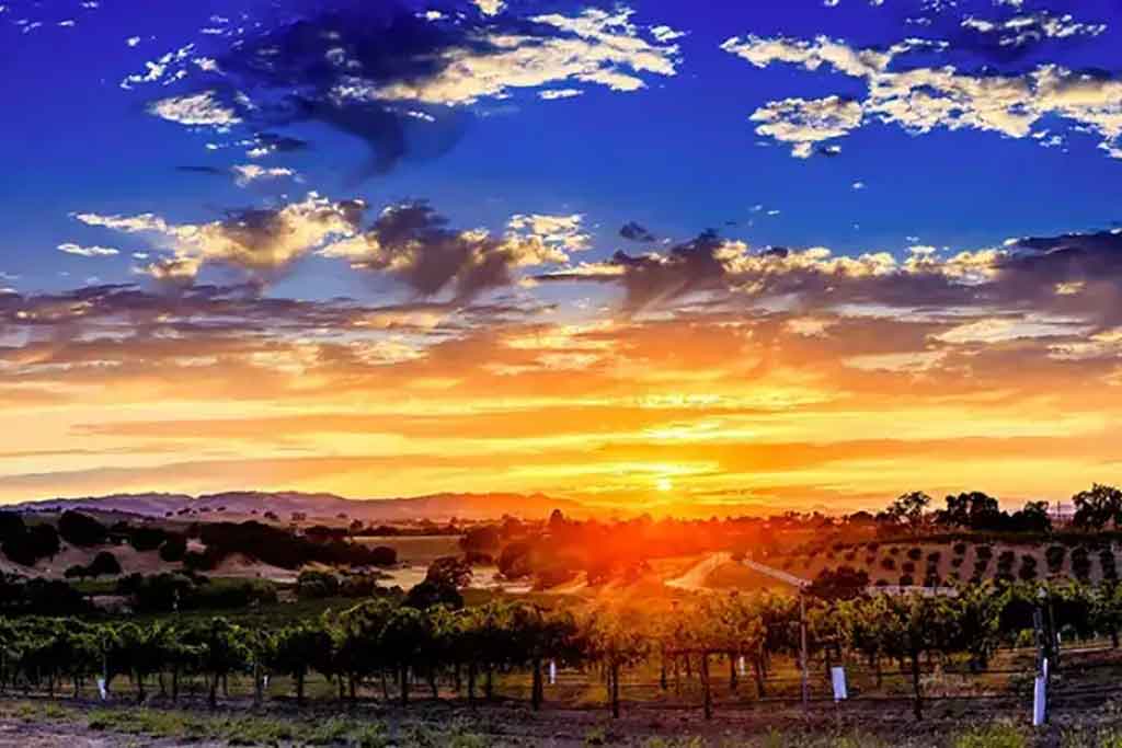 Paso Robles