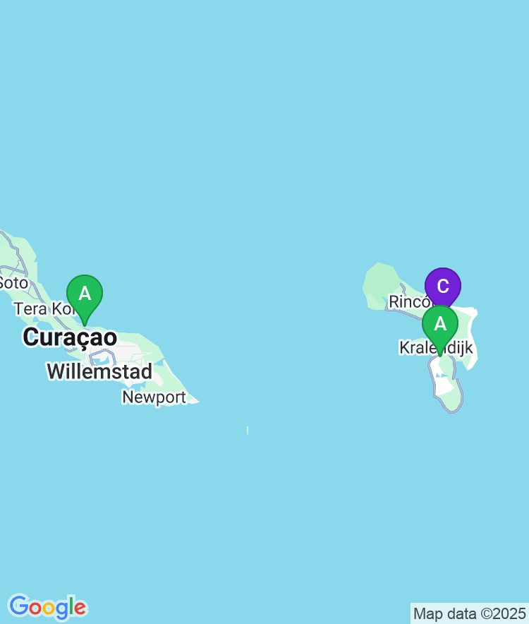 Bonaire Available Airport Options