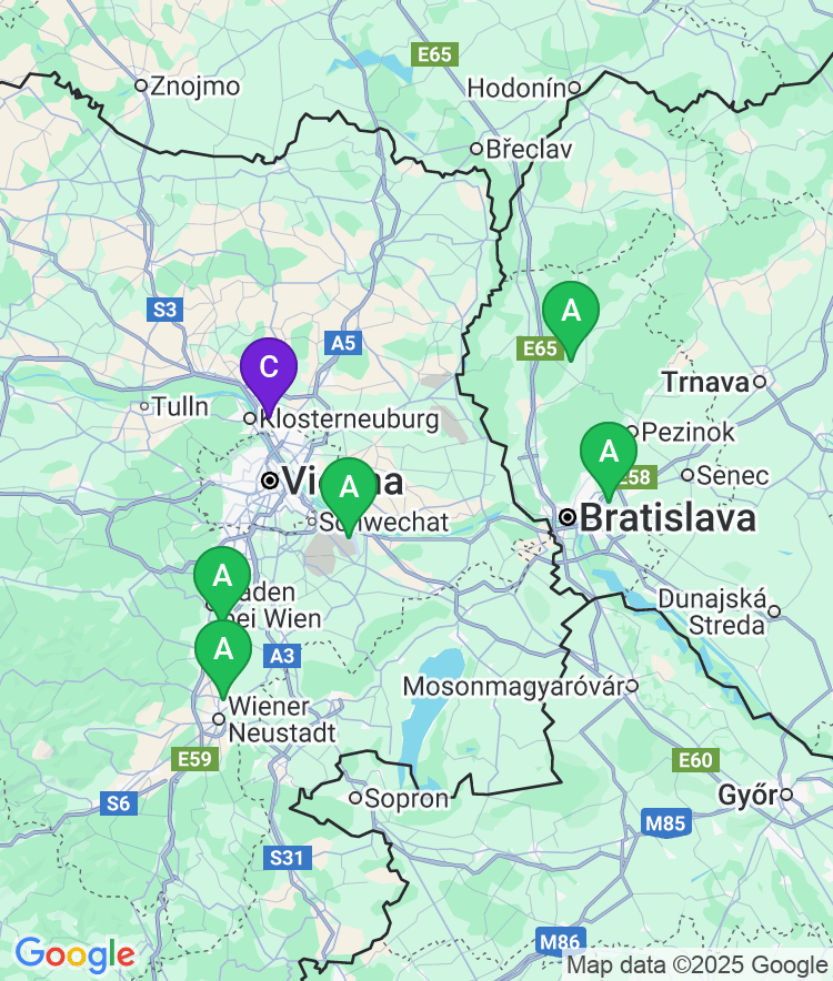 Vienna Available Airport Options