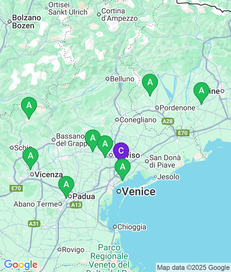 Venice Available Airport Options