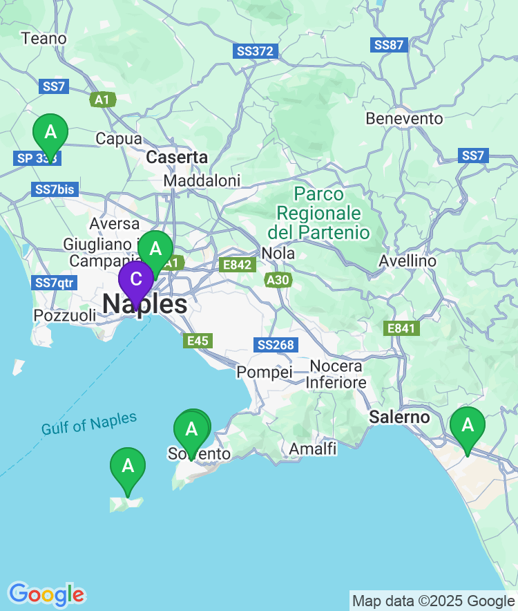 Naples Available Airport Options