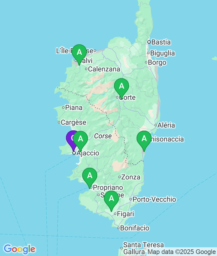 Ajaccio Available Airport Options